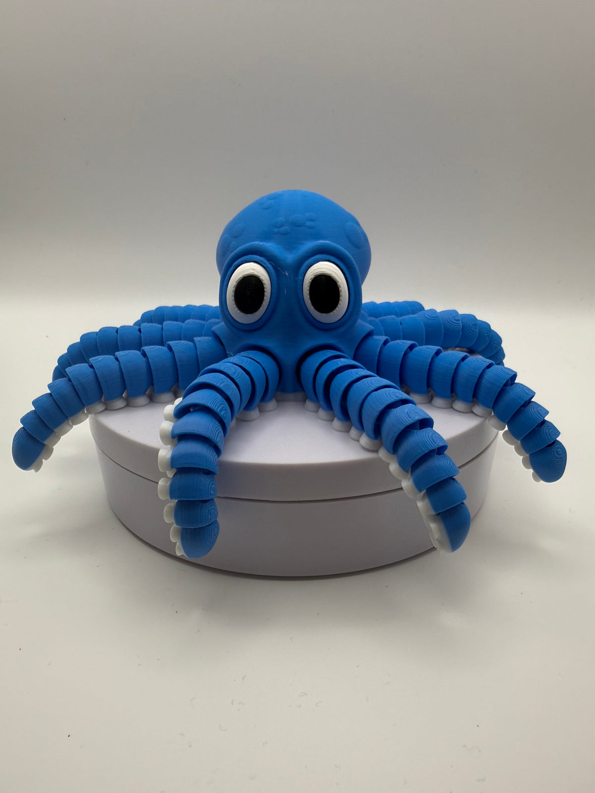 Octopus Flexi Fidget – Blue, 3D printed by 3D&ME in Tralee