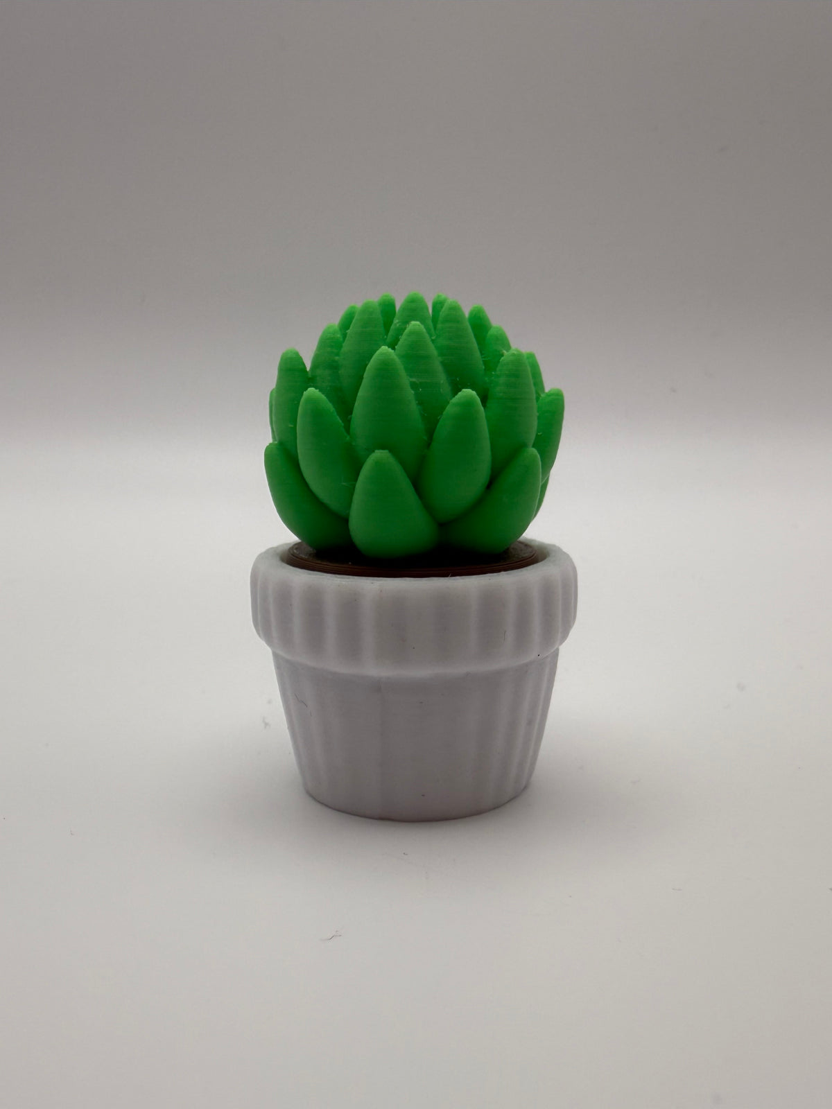 Succulent Plant Fidget Clicker – Green & White, 3D printed by 3D&ME in Tralee