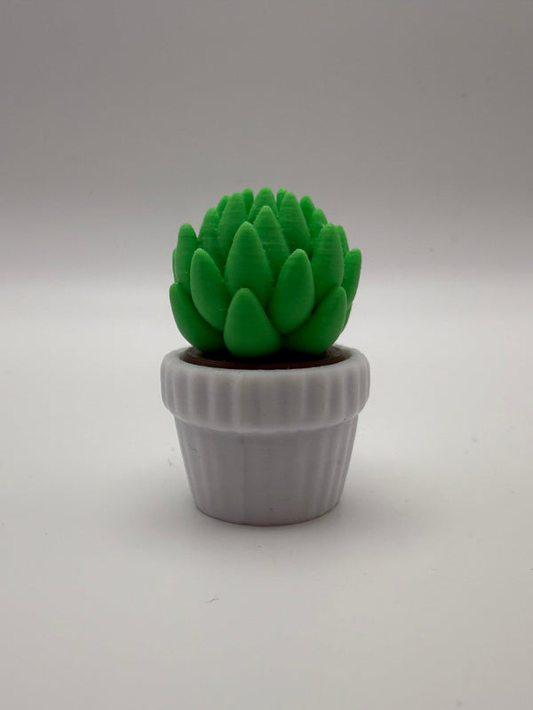 Succulent Plant Fidget Clicker – Green & White, 3D printed by 3D&ME in Tralee